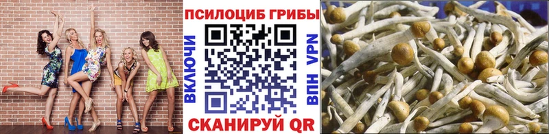 Купить закладки Будённовск Галлюциногенные грибы мухоморы